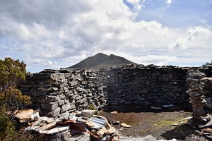 Mount Adamson